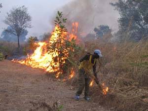 Le feu de brousse est une institution culturelle chez les Nafanan de Bondoukou (Crédit ph.: africatime.com)